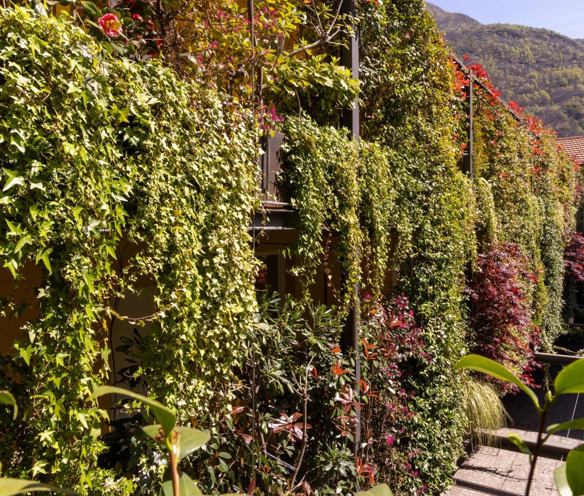 Residence Casa Coppa Appartamento Ivy Omegna Exterior foto
